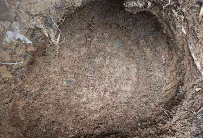  云南威信一村民耕作时挖出东汉铜鼓并主动捐出，专家：应为祭祀时的重要礼器 新闻