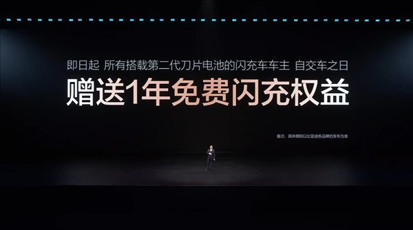  比亚迪发布闪充中国战略：年底全国建成20000座闪充站 新闻