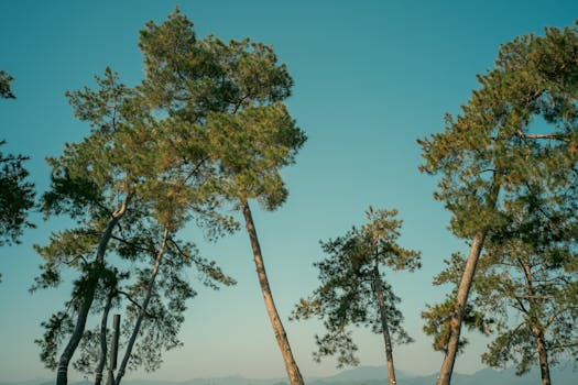  A股千亿市值军团持续扩容；三重底气支撑其稳步壮大。 股票财经 A股千亿市值军团持续扩容；三重底气支撑其稳步壮大。 股票财经 A股千亿市值军团持续扩容；三重底气支撑其稳步壮大。 股票财经 A股千亿市值军团持续扩容；三重底气支撑其稳步壮大。 股票财经