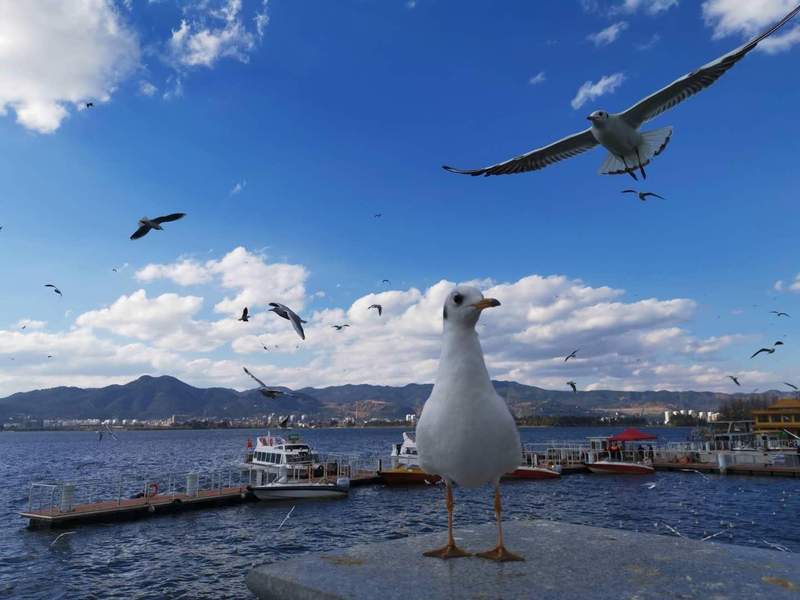  2026专业变革启示：高校扎堆AI学院背后的隐忧与真相 教育招生