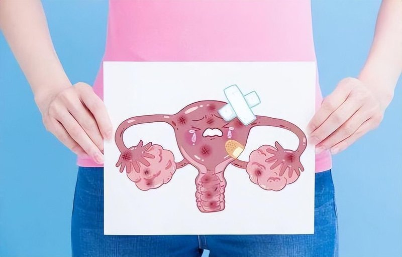  产后修复顺序深度拆解：从生理机制到实操路径的完整闭环 健康养生