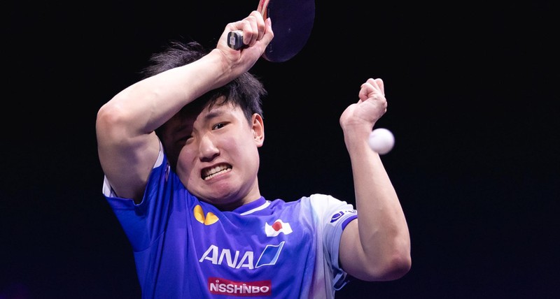  【技术解码】林昀儒逆转张本智和：台内控制与节奏压制背后的战术逻辑 体育新闻