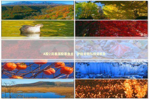 A股2月暴涨股票盘点：沪指走势与投资机会 新闻