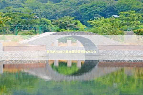 英伟达430亿美元营收背后的冰与火 新闻