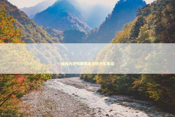 哈梅内伊殉职深度分析中东变局 新闻