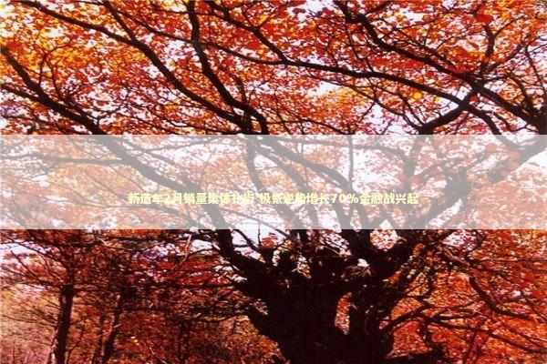 新造车2月销量集体扑街 极氪逆势增长70%金融战兴起 新闻