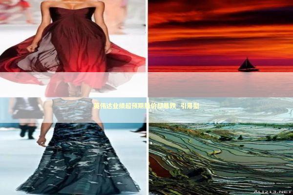 英伟达业绩超预期股价却暴跌_引用型 新闻