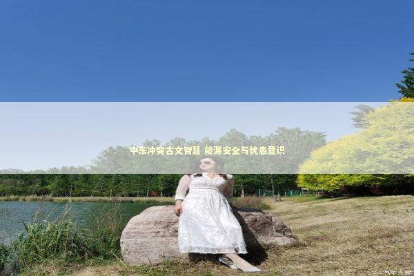 中东冲突古文智慧 能源安全与忧患意识 新闻