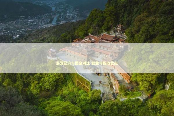 民营经济与国企对比 就业与税收贡献 新闻