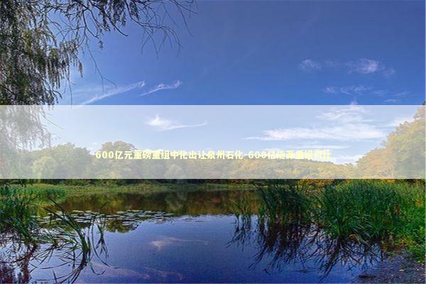 600亿元重磅重组中化出让泉州石化-600亿能源重组对比 新闻
