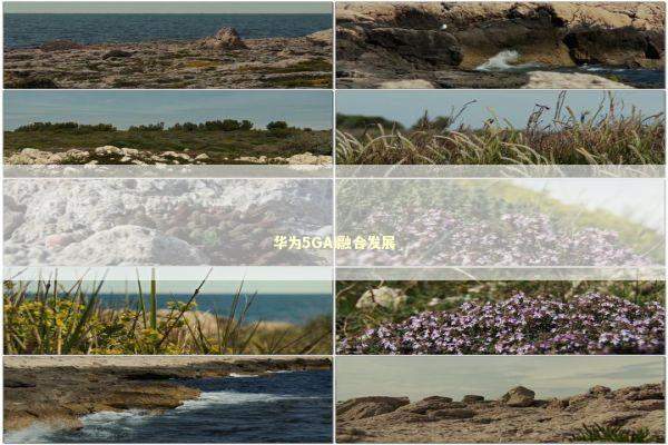 华为5GAI融合发展 新闻