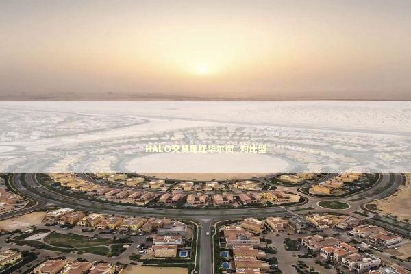 HALO交易走红华尔街_对比型 新闻