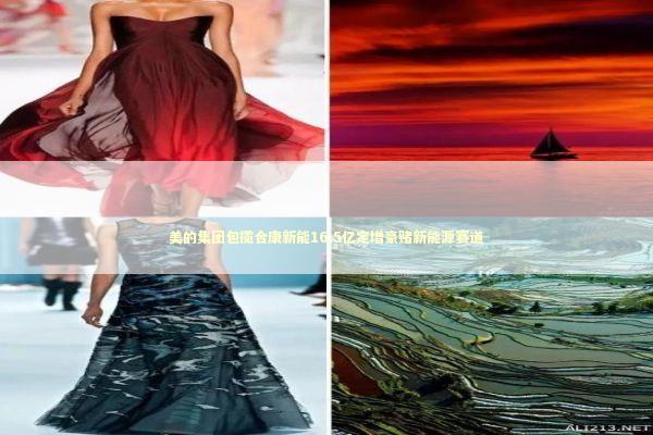 美的集团包揽合康新能16.5亿定增豪赌新能源赛道 新闻