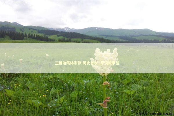 三桶油集体涨停 历史首次_平淡叙事型 新闻