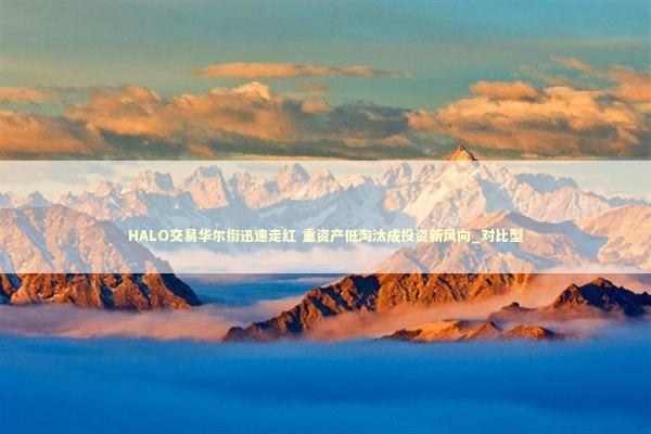 HALO交易华尔街迅速走红 重资产低淘汰成投资新风向_对比型 新闻