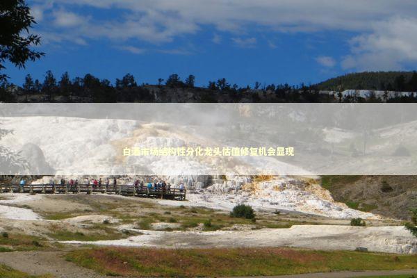 白酒市场结构性分化龙头估值修复机会显现 新闻