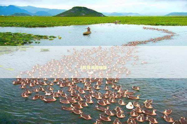 A股回调趣味版 新闻