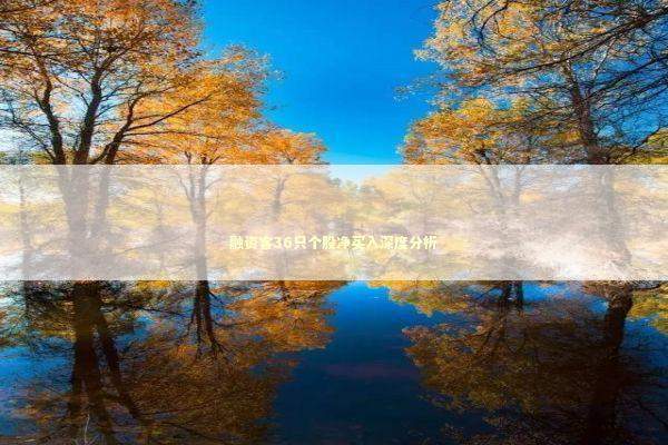 融资客36只个股净买入深度分析 新闻