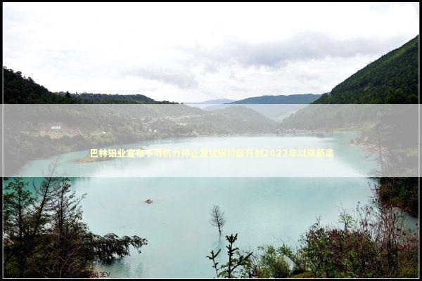 巴林铝业宣布不可抗力停止发货铝价飙升创2022年以来新高 新闻