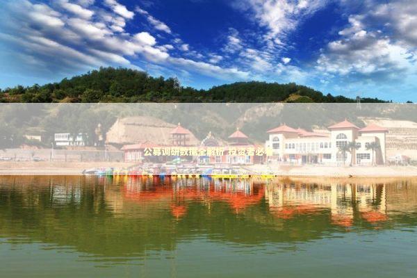 公募调研数据全解析 投资者必看 新闻