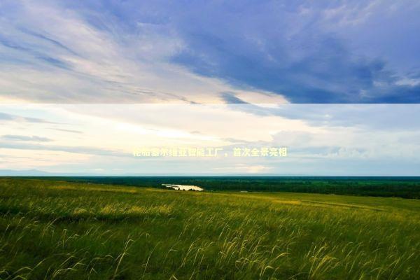 轮胎塞尔维亚智能工厂，首次全景亮相 新闻