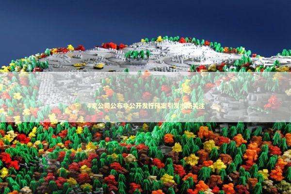 4家公司公布非公开发行预案引发市场关注 新闻