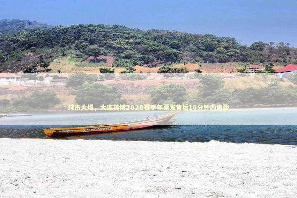 球市火爆，大连英博2026赛季年票发售后10分钟内售罄 新闻