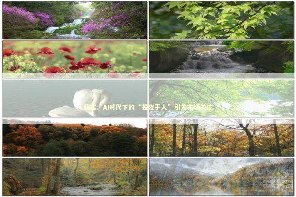 程实：AI时代下的“投资于人”引发市场关注 新闻