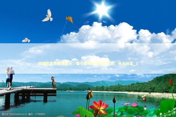 增值税发票数据显示：春节假期消费市场火热、亮点纷呈_1 新闻