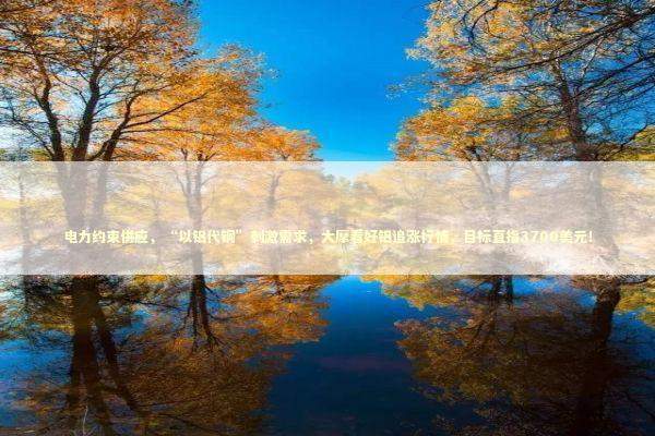 电力约束供应，“以铝代铜”刺激需求，大摩看好铝追涨行情，目标直指3700美元！ 新闻