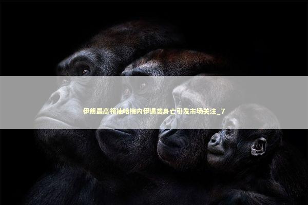 伊朗最高领袖哈梅内伊遇袭身亡引发市场关注_7 新闻