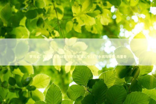 罗马诺：拜仁正在推动签下萨尔茨堡红牛16岁小将马特奥-马里奇 新闻