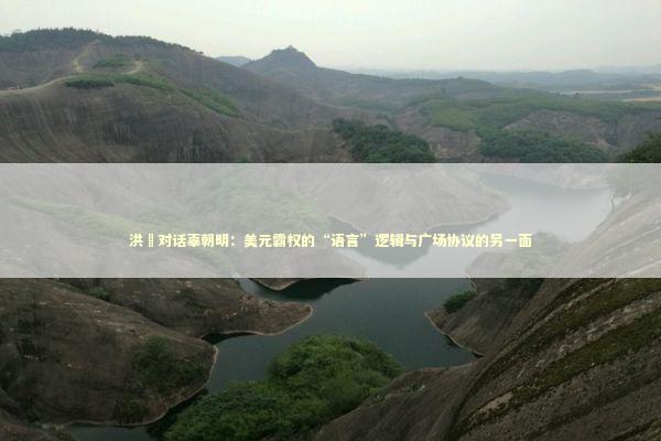 洪灝对话辜朝明：美元霸权的“语言”逻辑与广场协议的另一面 新闻