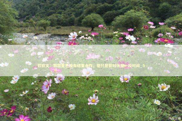 郑钦文：我跟里巴没有结束合作，他只是暂时休整一段时间_5 新闻