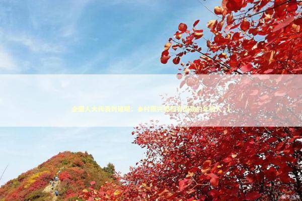 全国人大代表刘建明：乡村振兴要靠有闯劲的年轻人_1 新闻