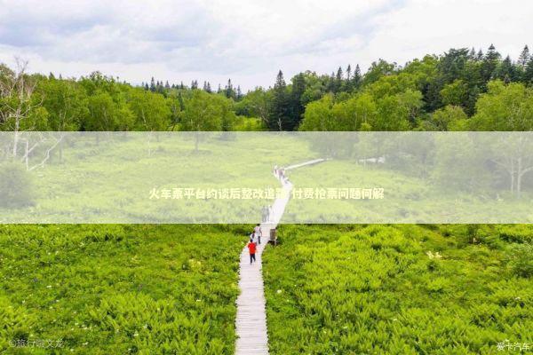 火车票平台约谈后整改追踪 付费抢票问题何解 新闻