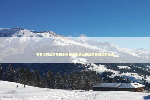春节买花成新年俗全国花市生意火爆成新春消费新亮点 新闻