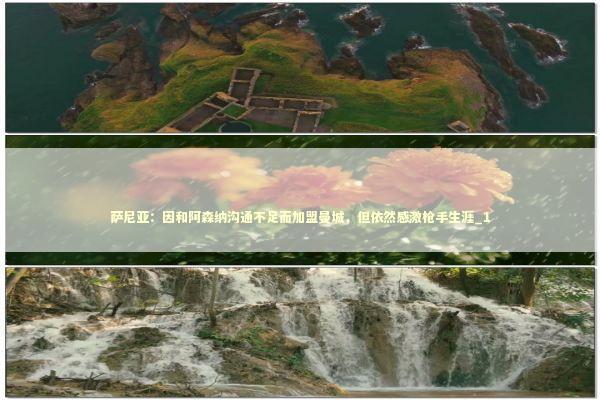 萨尼亚：因和阿森纳沟通不足而加盟曼城，但依然感激枪手生涯_1 新闻