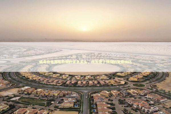 病毒攻击吞噬数据的紧急关头，我发现了便捷的复原技巧 新闻