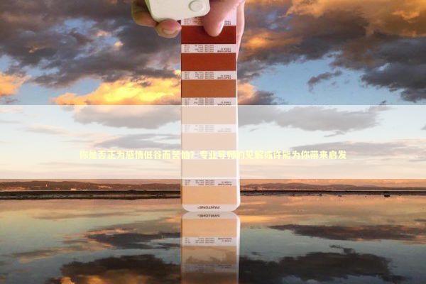 你是否正为感情低谷而苦恼？专业导师的见解或许能为你带来启发