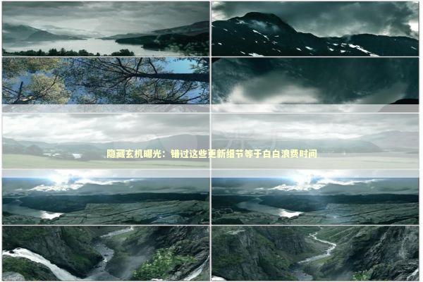 隐藏玄机曝光：错过这些更新细节等于白白浪费时间