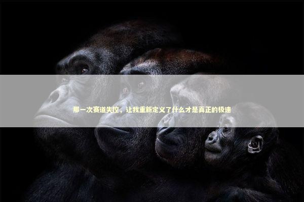 那一次赛道失控，让我重新定义了什么才是真正的极速